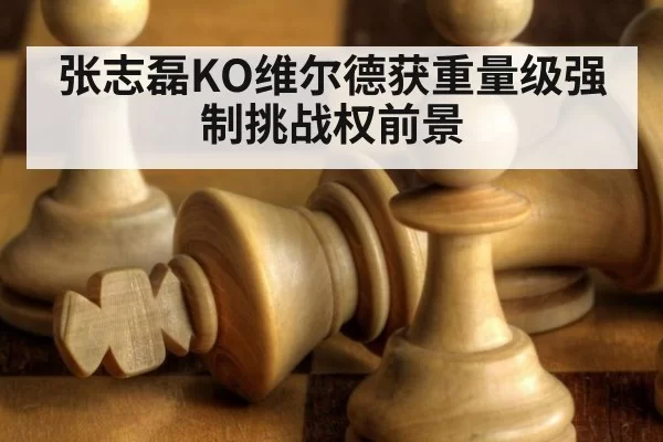 张志磊KO维尔德获重量级强制挑战权前景