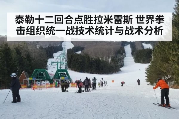 泰勒十二回合点胜拉米雷斯 世界拳击组织统一战技术统计与战术分析